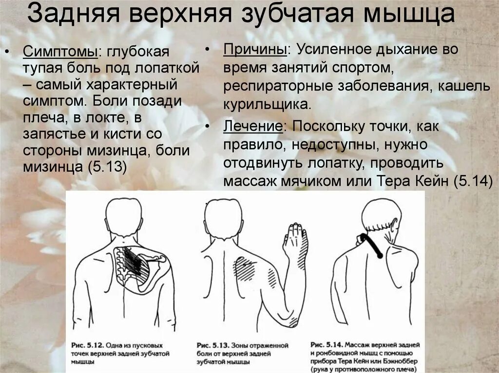 Болит под правым плечом. Болит спереди плеч. Болит с зади под лопатккой.