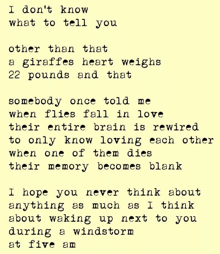 Love you told текст. Somebody once told me текст. Somebody once told me перевод на русский. Somebody once told me на укулеле. Somebody once told me песня текст.