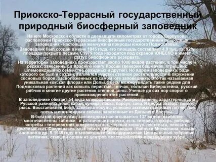 Приокско террасный заповедник кроссворд 3