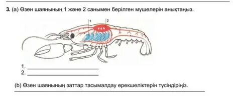 Порно фильмдер онлайн көркем фильмдер