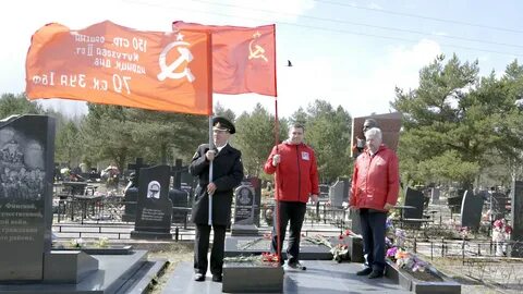 Петрович псков