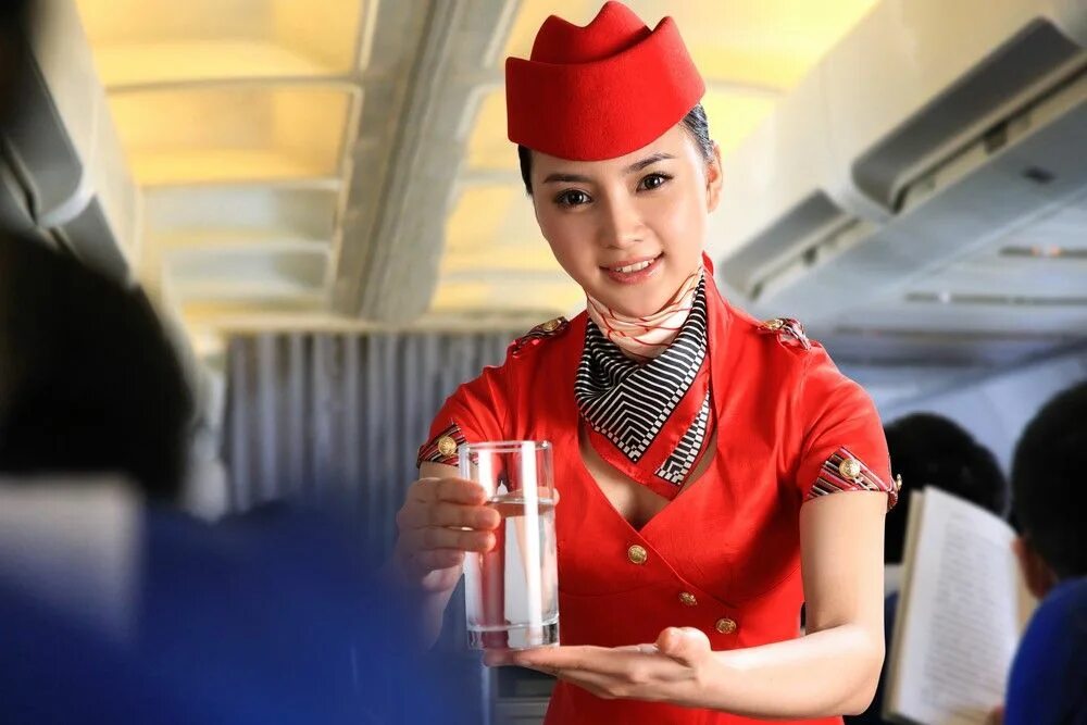 Fly attendant