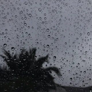 White rain