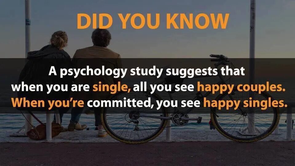 Can u did that. Did you know facts. happy single.