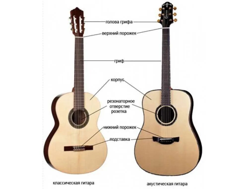 Классика и акустика гитара разница. Отличие акустики от классики гитары. Hohner HC-06 электроакустическая. Акустическая бас гитара 6 струнная.