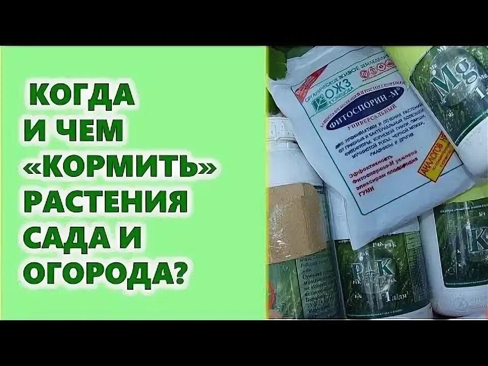 Какие растения подкармливают кефиром. Какие растения подкармливают кефиром. Удобрение из крапивы. Какие растения подкармливают кефиром. Удобрение из травы для огорода.