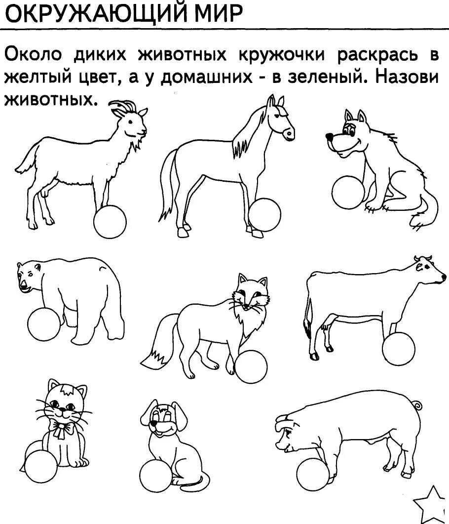 Бесплатные задание по окружающий мир. Задания по теме домашние животные. задания по окружающему миру для дошкольников. домашние животные задания для детей. животные задания для дошкольников.