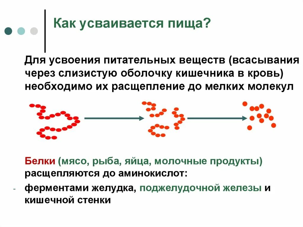 Легкоусвояемые питательные вещества. Питательные вещества для организма человека. Питание по времени. Правильное питание по часам. Сравнительная таблица питательные вещества.