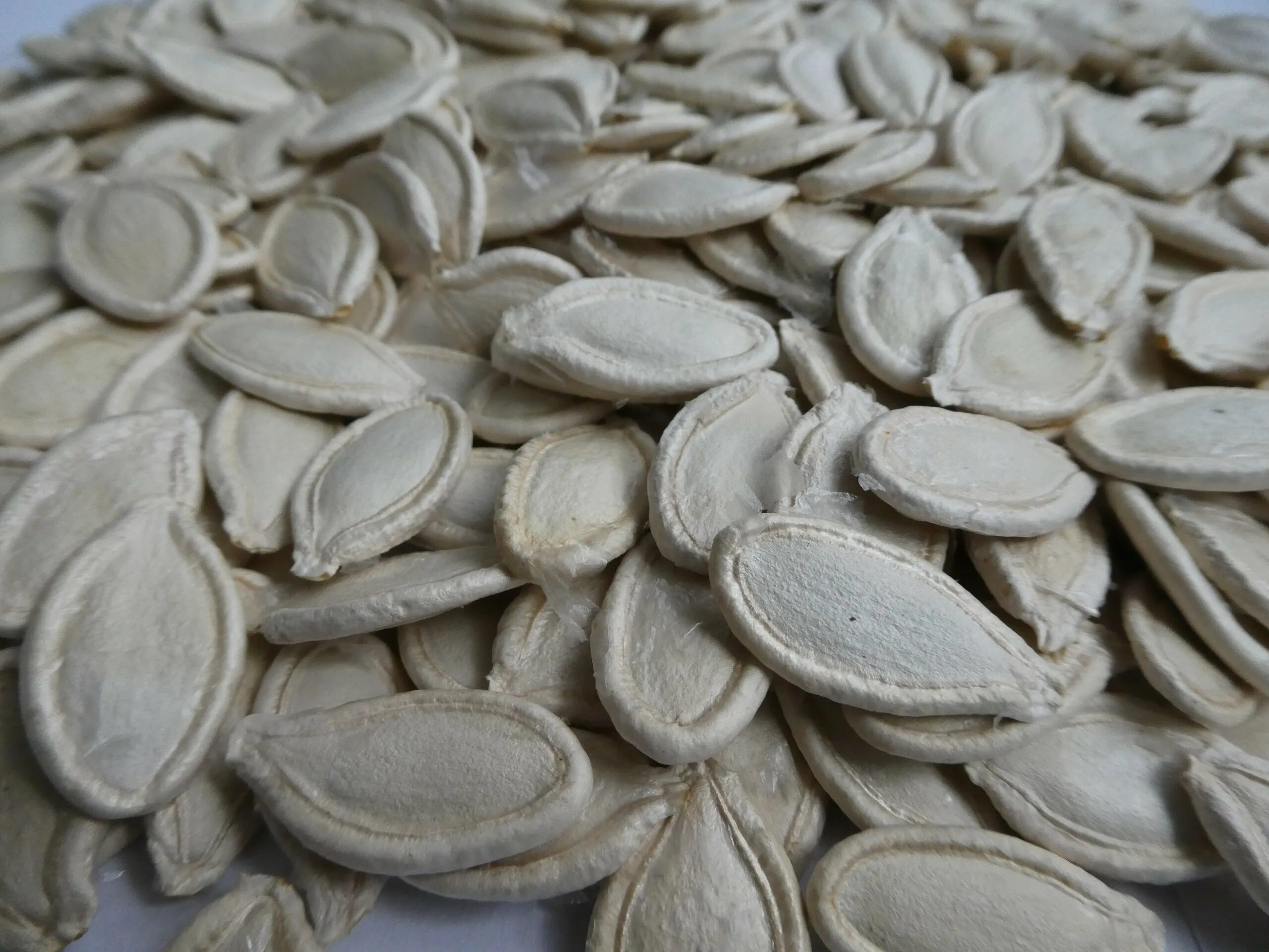 Семена тыквы неочищенные. Сырые семечки. Неочищенная. Семечки. Кедровый орех.