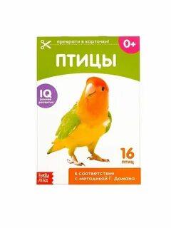 Карточки г