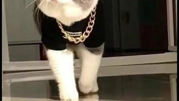 Мотало жизнь туда сюда. Мотало жизнь туда сюда. Мотало жизнь туда сюда. Не туда прикол. Мотало жизнь туда сюда.