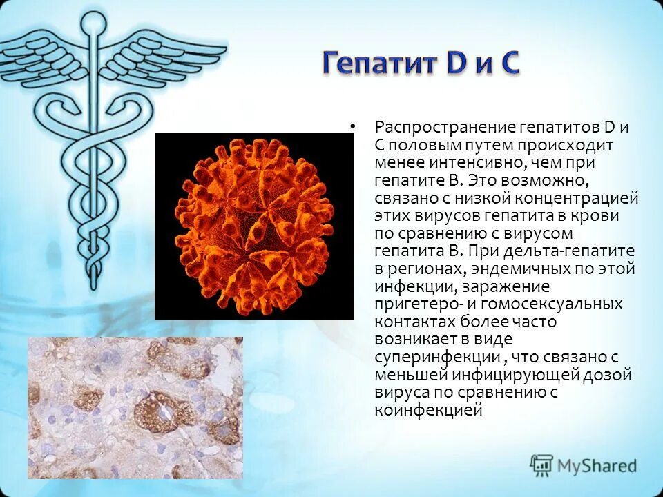 Передается ли гепатит б половым путем. Гепатит б передается. Гепатит ц передается половым путем. Передается ли гепатит б половым путем. Гепатит с передается через половой акт.