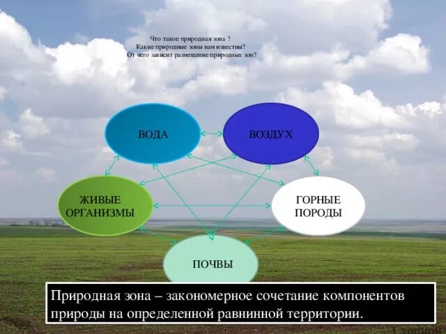 Основные природные компоненты. Разнообразие природных комплексов россии. Природные комплексы. Схема природного территориального комплекса. Закономерное сочетание взаимосвязанных компонентов природы.