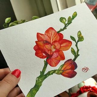 Рисование записать