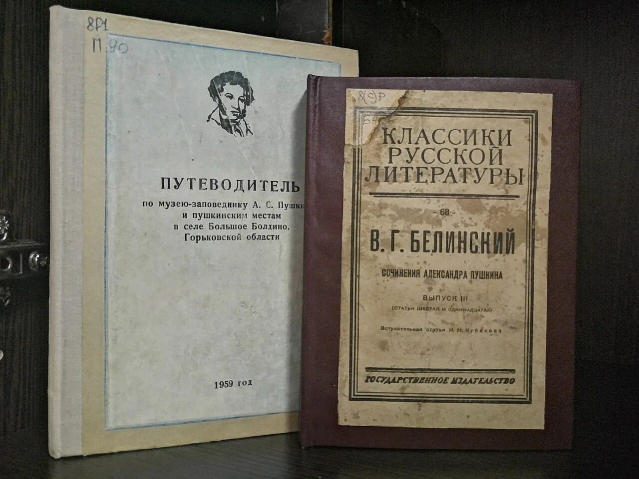 Редкие книги список. Отдел редких книг. Очень редкие книги 19 века. Русские книжные редкости 20 века. Беклемишевский с книжное собрание.