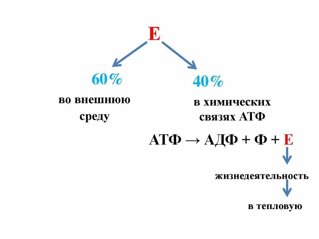 Продуктом является атф. АТФ. АТФ И АДФ. 36 Молекул АТФ. АДФ связи.