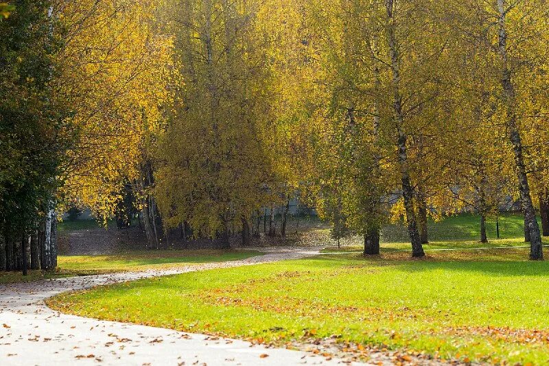 ок рублево ржд. рублево ржд крылатское. оздоровительный комплекс рублево оао ржд. лесная даль. рублевка поселок.