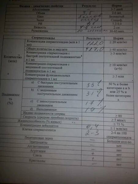 Сдать спермограмму эко