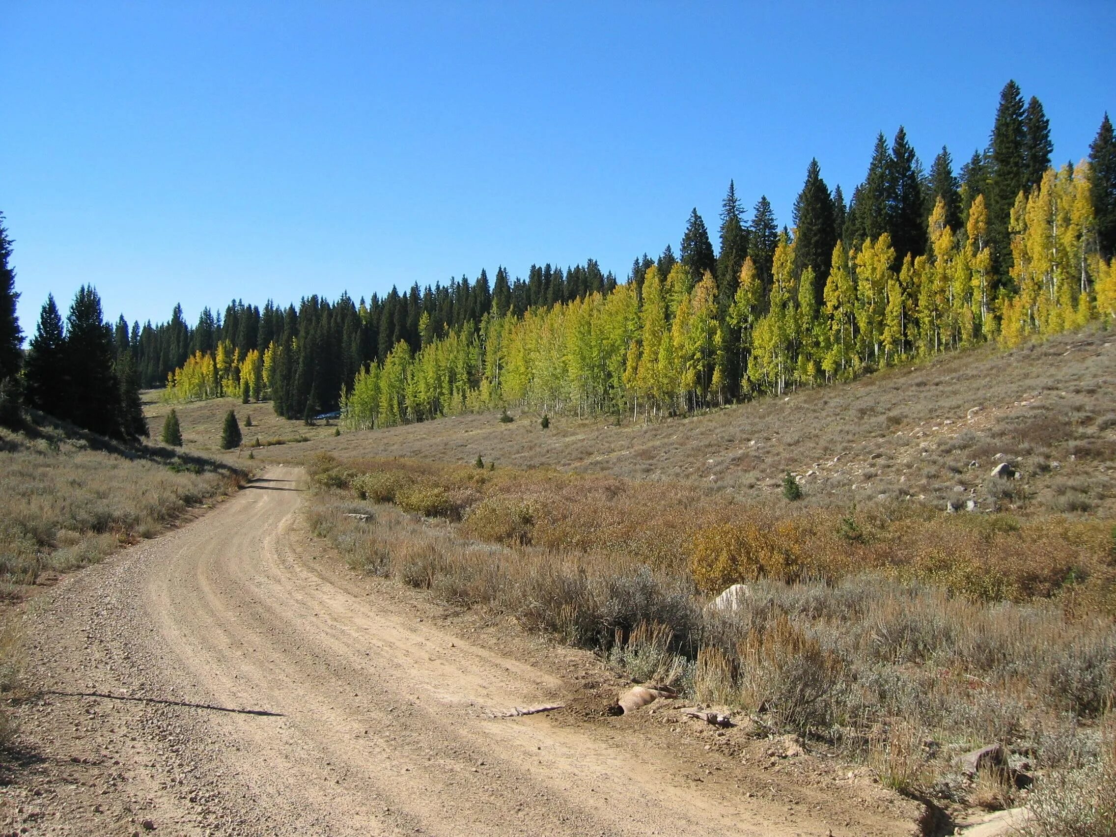Creek road. En route !. Sierra canyon school. Аспен колорадо город осень. Creek road.