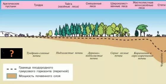 Установите соответствие природная зона характерная почва. География почв. Почвы 7 класс география. 7 Видов почв. Почвы 7 класс география Полярная звезда.