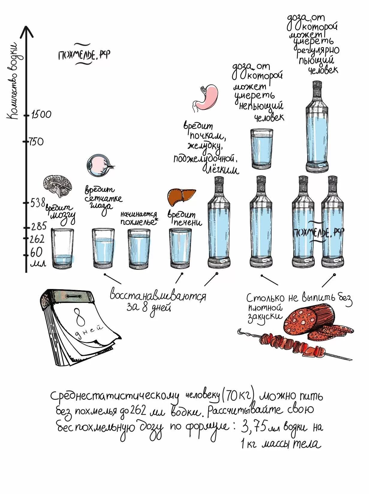 Можно ли опохмеляться. Сколько длится похмелье. Алкоголь схема. Сколько нужно выпить для похмелья.