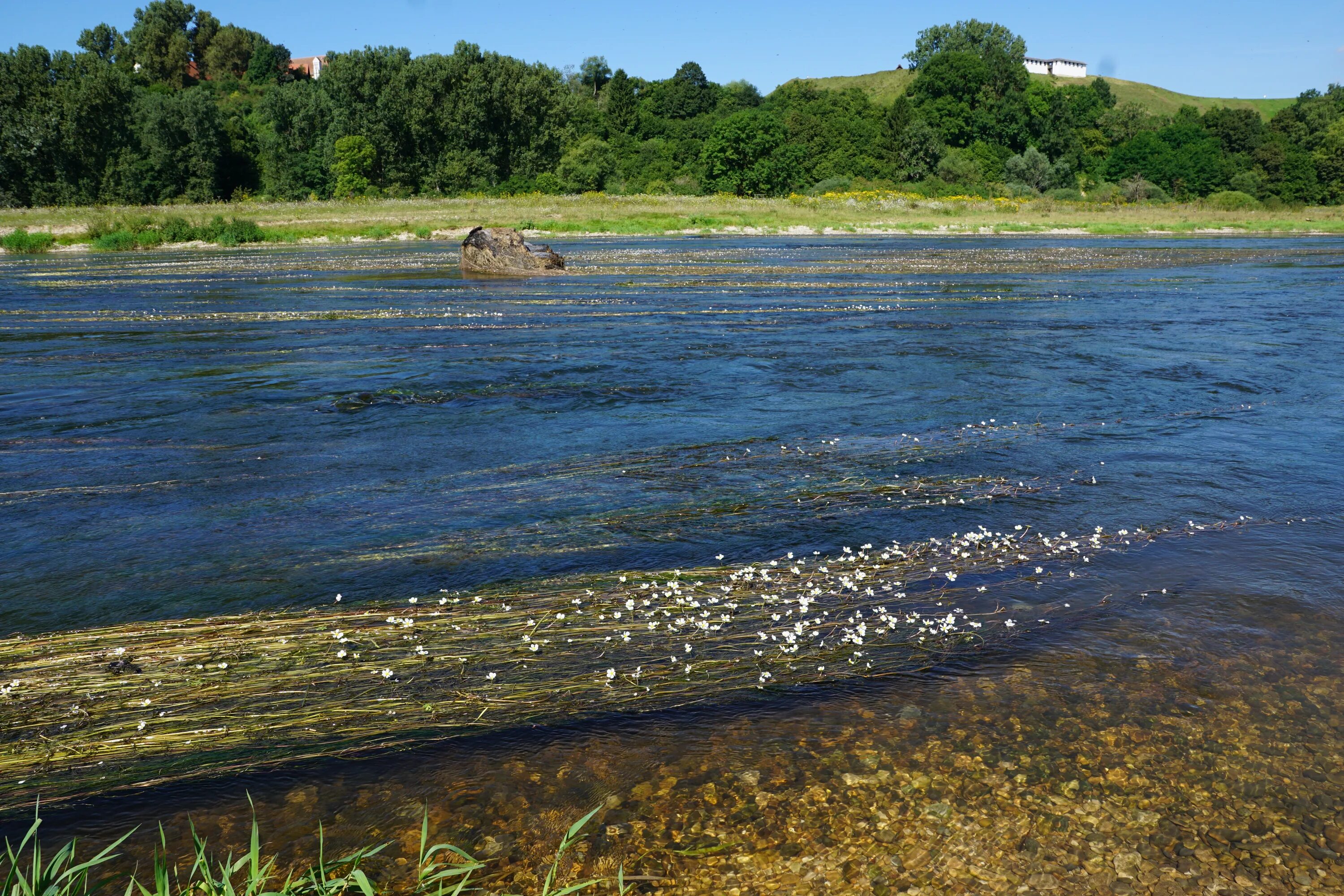 КИХЧИК (река). Вода река. Речной залив. Вода у берега реки. Реки выносят свои воды в