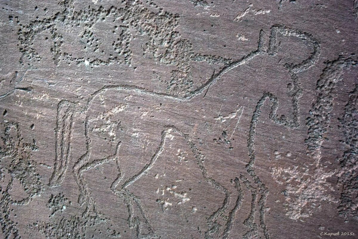 Наскальная живопись хакасии. Петроглифы хакасов. Петроглифы окуневской культуры. Петроглифы хакасии. Петроглифы оглахты хакасия.