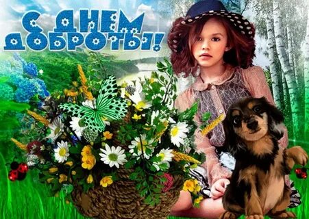 Видео о добром дне