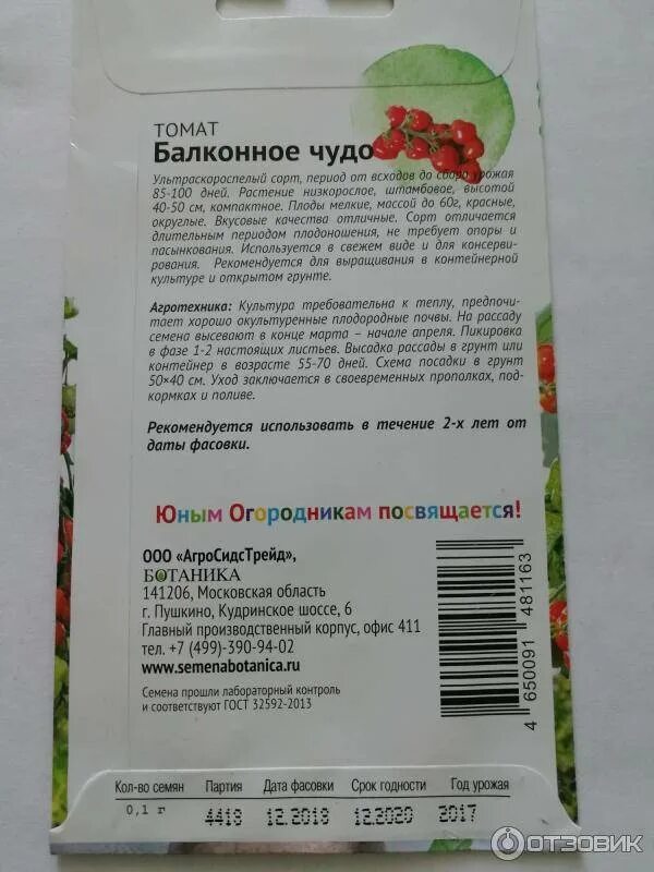 Балконное чудо описание сорта. Томат балконное чудо описание. балконное чудо помидоры описание. балконное чудо помидоры описание сорта. томат оконное чудо.