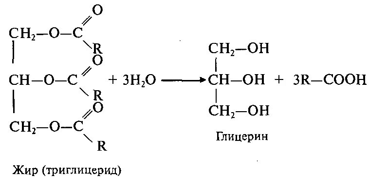 Получение глицерина гидролизом жиров. Гидролиз жиров глицерин. Синтез глицерина из пропилена. Глицерин из пропилена реакция. Реакция образования глицерина