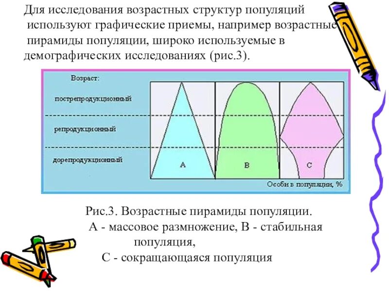 Возрастная пирамида популяции. Возрастная структура популяции. Типы возрастной структуры популяций.