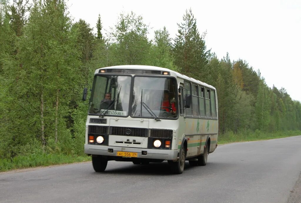 Маршрутки онега. ПАЗ 4234. ПАЗ 4234 Архангельск. ПАЗ 4234 салон. ПАЗ 4234 Архангельская область маршрут 64.