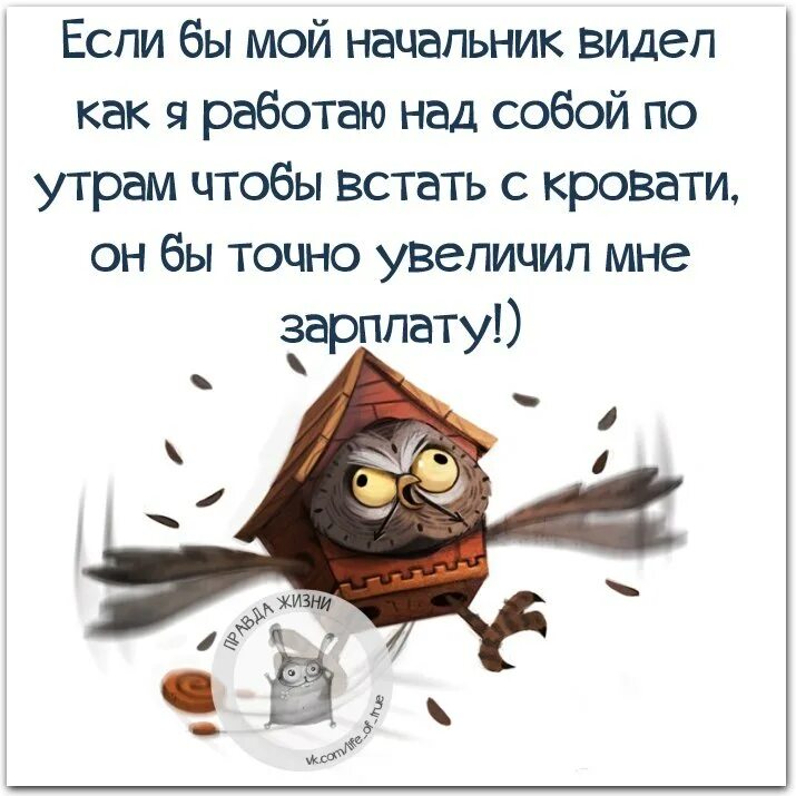 Высказывания про работу. Смешные статусы про работу. Анекдот про работу смешной. Прикольные высказывания про работу. Шутки про работу.
