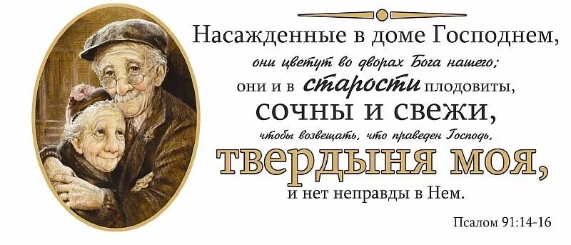 Дом рассохся от старости сочинение. Насажденные в доме Господнем. Они и в старости сочны и плодовиты. И В старости плодовиты и сочны Библия. С тарости Бубете сочны и плодовиты.