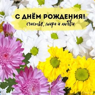 Поздравление с днем рождения хризантемы красивые