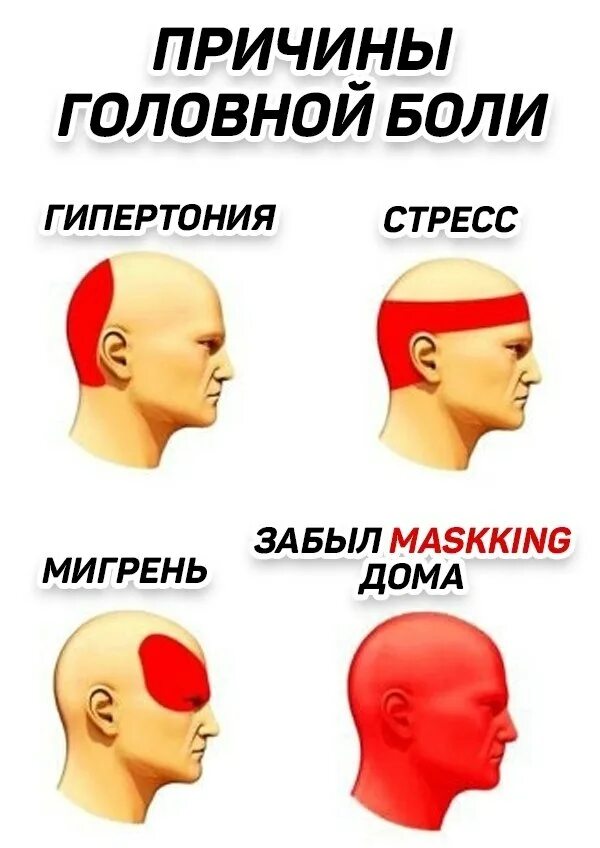 Болит лоб и тошнит. Болит голова. Виды головной. Типы головной боли. Головные боли по зонам головы.