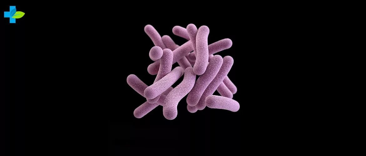 Новый вирус туберкулеза