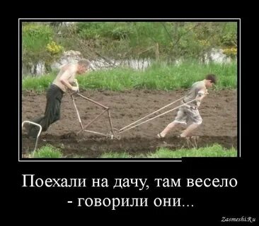 Там в городе есть сад