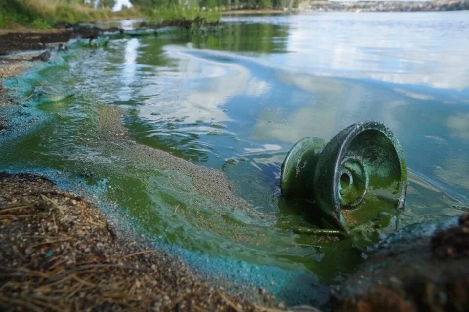 Загрязнение водохранилища. Загрязненное водохранилище Воронеж. Загрязнение воды в Нижнем Тагиле. Загрязнение водных ресурсов. Экологические проблемы воды.