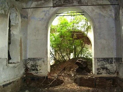 Село криница воронежская область
