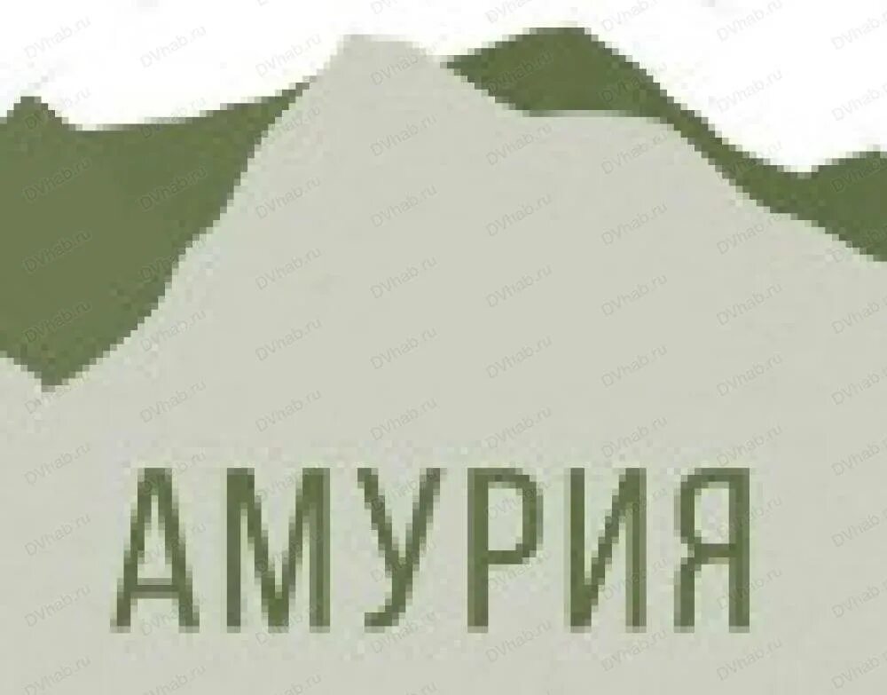 3, комсомольск-на-амуре. Амуртурист благовещенск. Севастопольская улица комсомольск-на-амуре. Ленина, 74, корп. Амур тур.