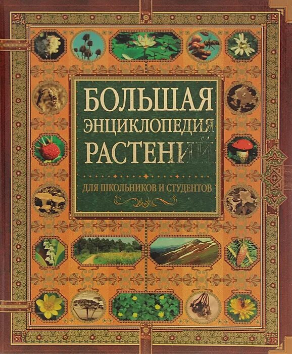 Большая энциклопедия растений для детей. Растения. Энциклопедия. Книгу большая растений энциклопедия. Книги о культурных растениях.