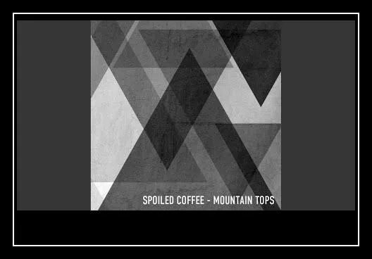 Chicago nights coffee. Coffee исполнитель. Sound трека chicago оригинал. Spoiled coffee chicago nights о чем песня. Chicago night (slowed) spoiled coffee.