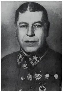 Борису михайловичу шапошникову