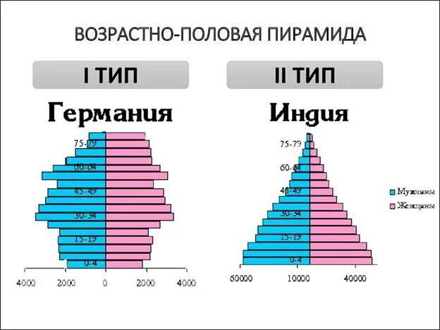Особенности возрастного и полового состава населения индии. Особенности возрастного и полового состава населения индии