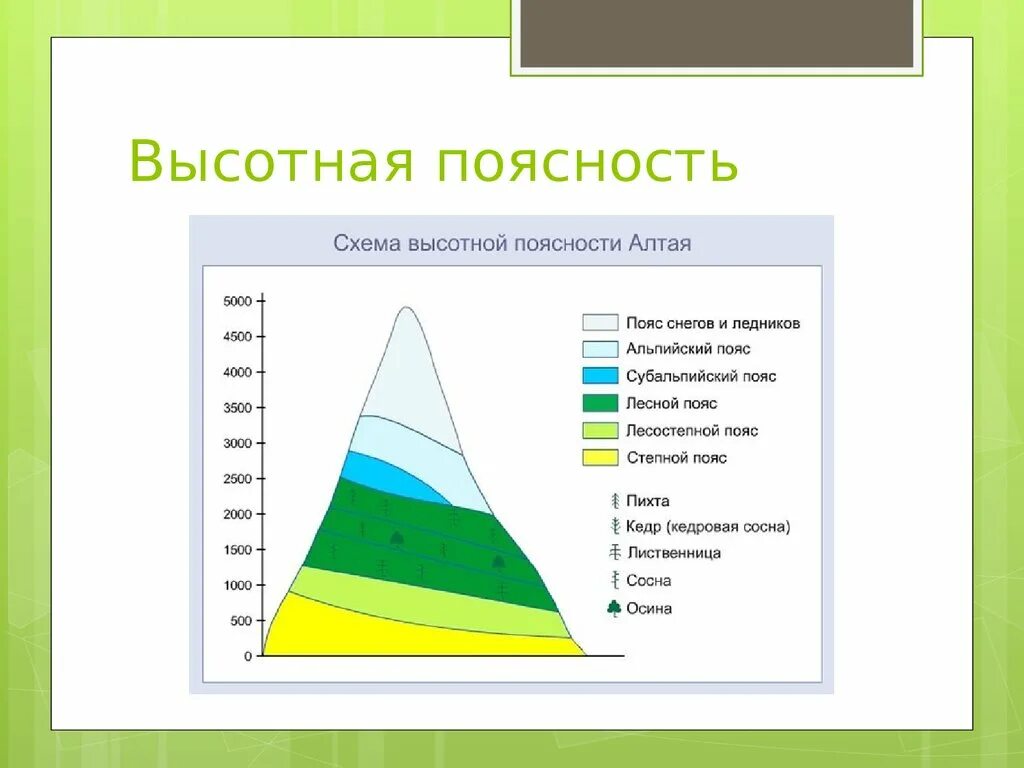 Высотная поясность урала и кавказа. Схема ВЫСОТНОЙ поясности гор Алтая. Схема ВЫСОТНОЙ поясности в горах Алтая. Природные зоны ВЫСОТНОЙ поясности Алтая. Схема ВЫСОТНОЙ поясности Урала.