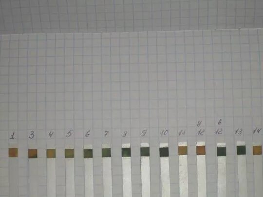 День овуляции у собак. График базальной температуры норма. День овуляции у собак. День овуляции у собак. Цитология на овуляцию у собак.