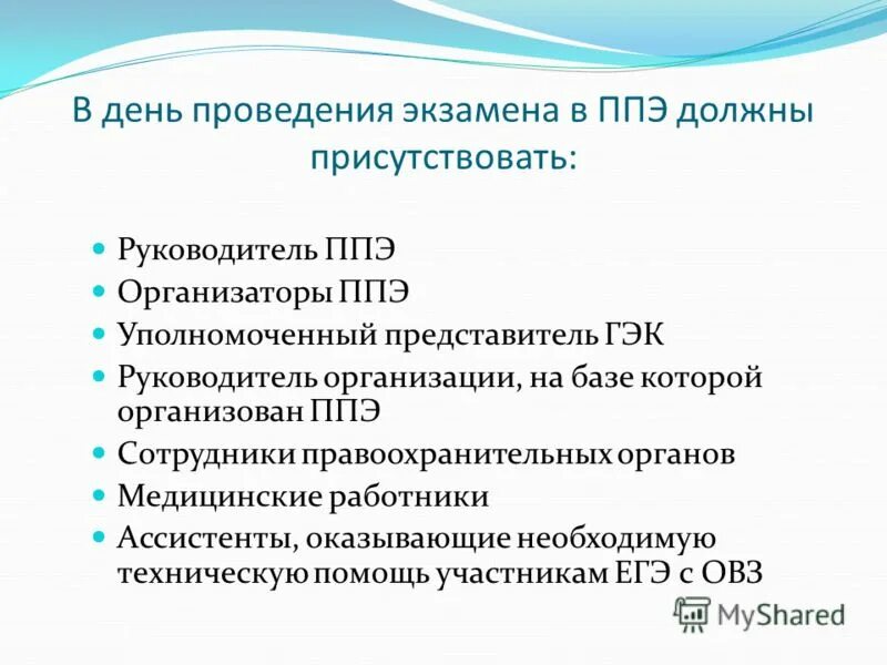 уполномоченный представитель руководителя организации