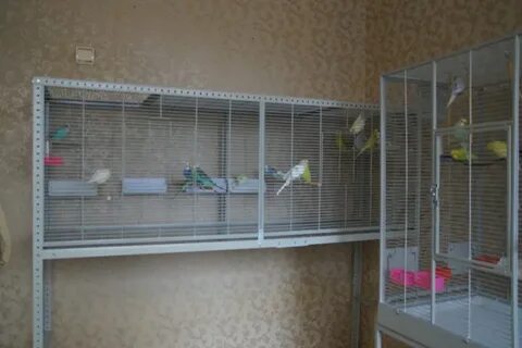 Клетка для попугая своими руками
