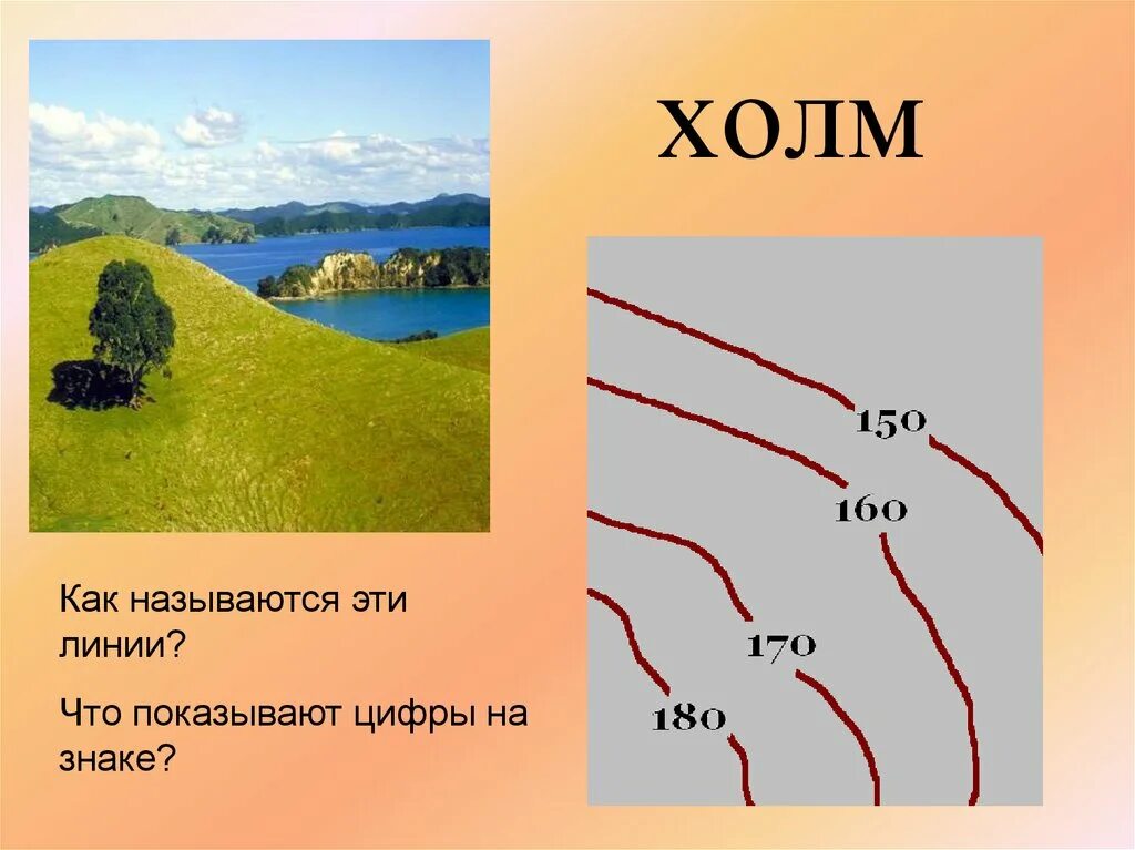 Описание холмов. Холм география. Холм на плане местности. Ходм на плане местности. План холма.